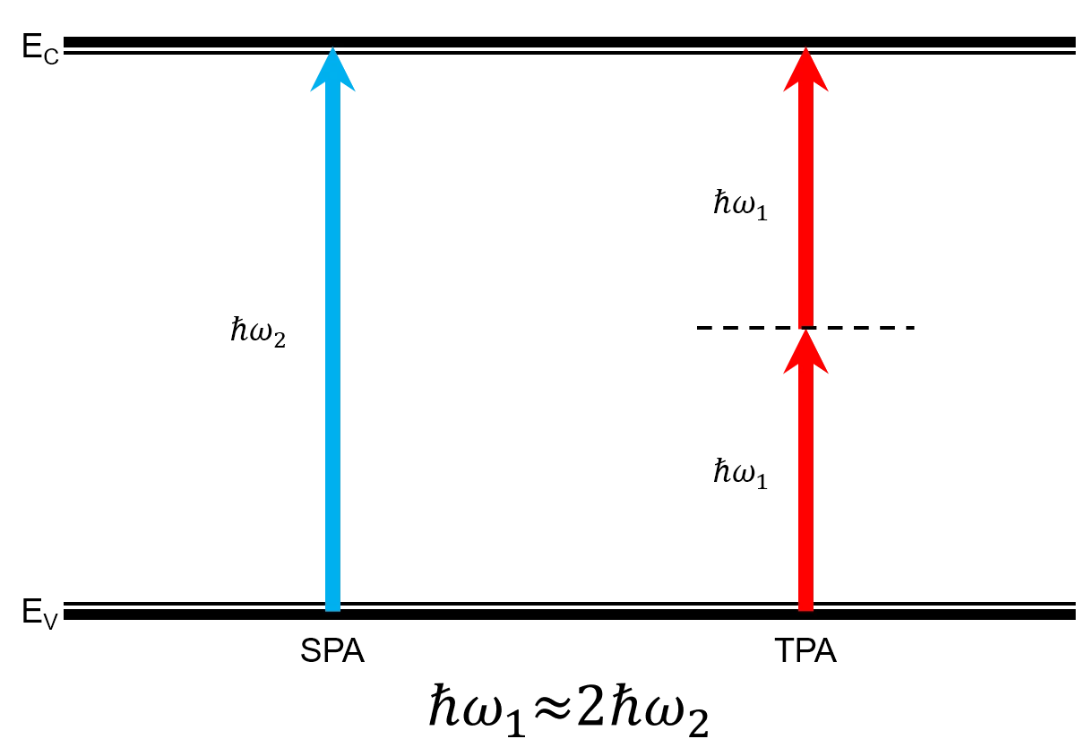 Single Photon Absorption & Two Photon Absorption